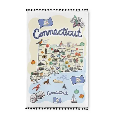 Connecticut 티 타월