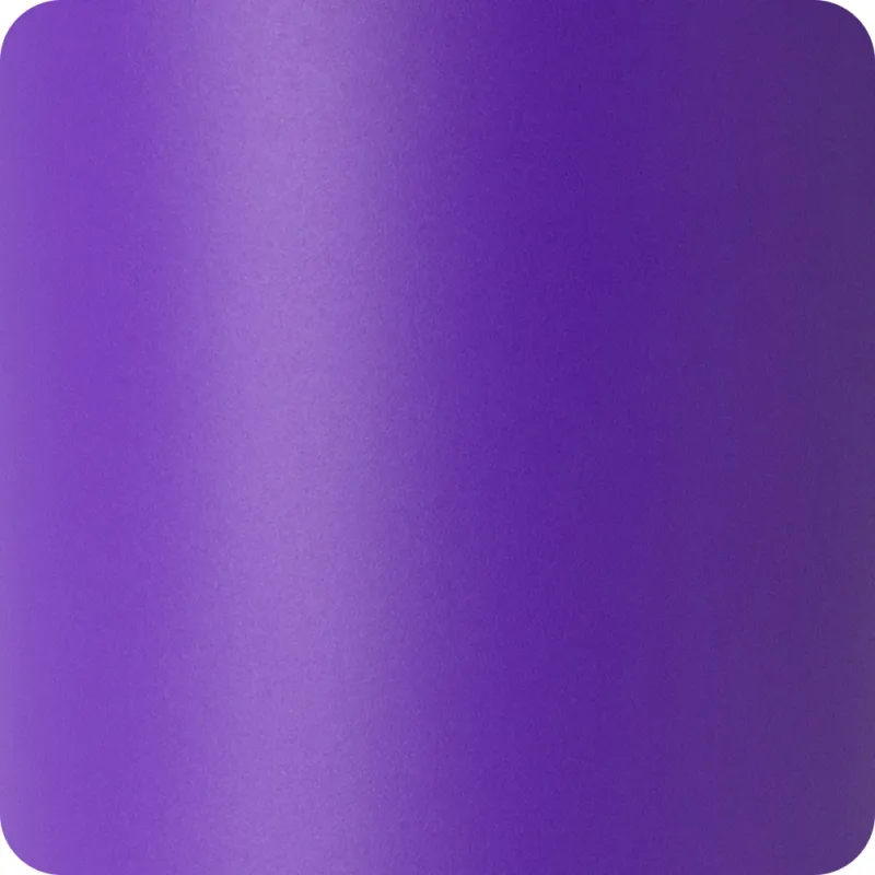 Purple Tumbler 22oz