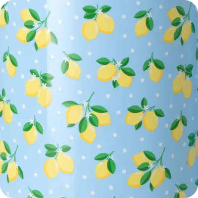 Pack Mega Lemon Meringue