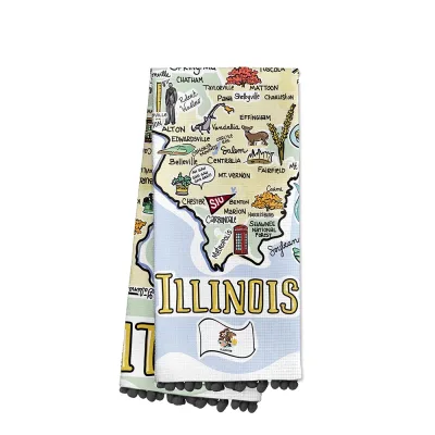 Illinois-teeastia